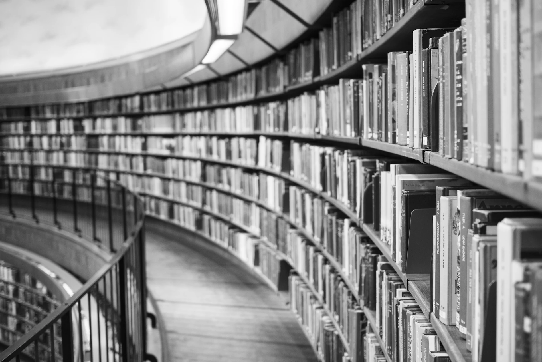Galería curva de una biblioteca con estanterías de piso a techo